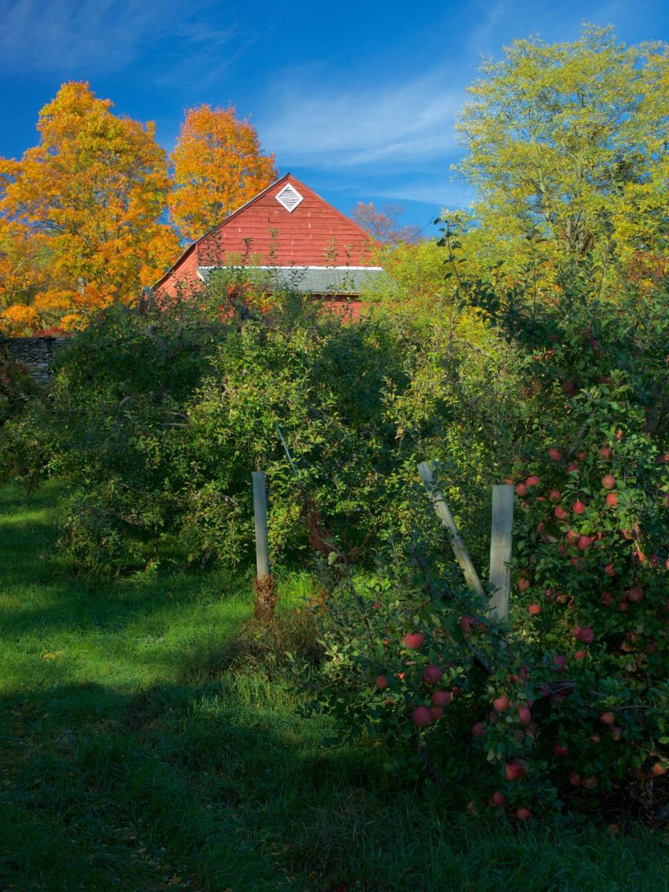 Danskammer House Bed & Breakfast Marlboro